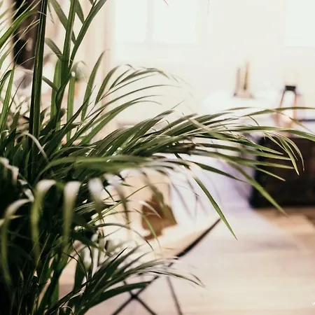Cig'home - The Old Tanner *** Apartment *